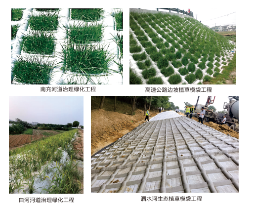 护坡植草工程案例